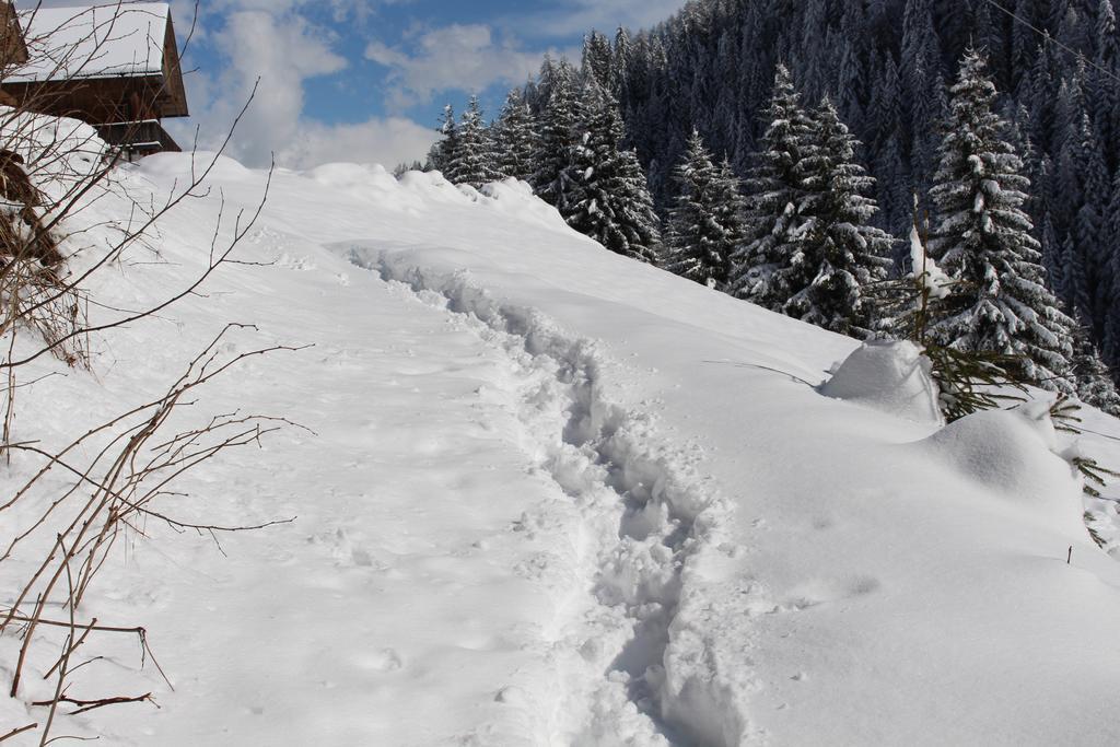 Bad Bergfallerhof Olang Εξωτερικό φωτογραφία